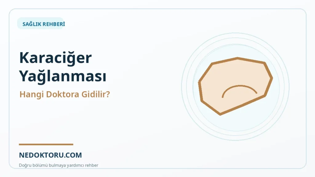 Karaciğer Yağlanması İçin Hangi Doktora Gidilir? Hangi Testler?