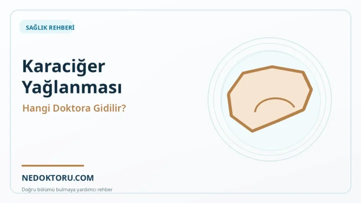 Karaciğer Yağlanması İçin Hangi Doktora Gidilir? Hangi Testler?